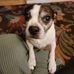 Stevie Cooper - Facebook
