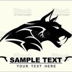 Steve Fox - Facebook