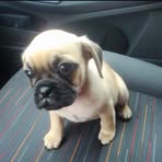 Stevie Hicks - Facebook