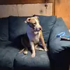 Steve Higgins - @steve.higgins49 - TikTok