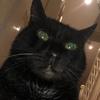 stevie_higgins - @stevie_higgins - TikTok