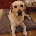 Stevie King - @stevieking75 - Instagram