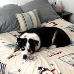 stevie maxwell cady - @steviemaxwellcady - Instagram