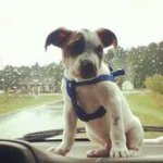 Stevie Moore II - @steviemoore12 - Instagram