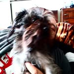 Stevie Rivera - @stevier53 - Instagram