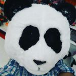 Stevie Rocha - @stevie.rocha - Instagram