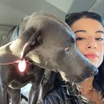 Stevie Solis - @steviesolis - Instagram