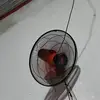 Stanton Stevie - @stanton.stevie - TikTok