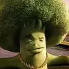 Joe Shlabonker - @steviestarr_ - TikTok