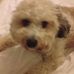 Stevie Stephens - Facebook