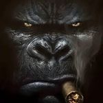 Steve Styles - @styles.steve - Instagram