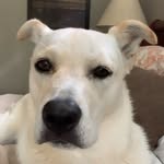 @_steviewalsh - Instagram