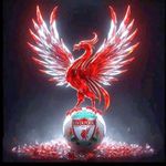 Stevie Ward - @stevie.ward - Instagram