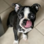 Stevie Watts - @stevie_mcsqueezey - Instagram