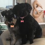 Stevie Willis - Facebook