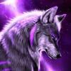 Stevie Wolf - @steviewolf4 - TikTok