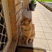 Stew Smith - Facebook