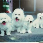 Sherry Stewart-Beck - @stewartbeck - Instagram