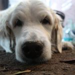 Stewart Berger - @stewartberger - Instagram
