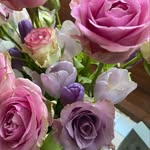 Stewart Gray - @bloomsblossomsbows - Instagram