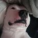 Stewart Mcdaniel - Facebook