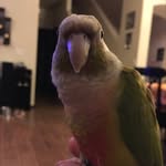 Stewart - @pineapple_stewart - Instagram