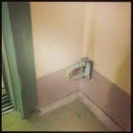 Acol - @stewartpowell - Instagram