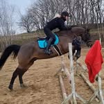 Stine Knudsen - @stine.knudsen.31 - Instagram