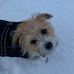 Stine Knudsen - Facebook
