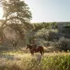 sterling_miller1 - @sterling_miller1 - TikTok