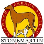 Stonemartin - @stonemartin_kennels - Instagram