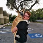 Storm Davis - @stormdv1 - Instagram