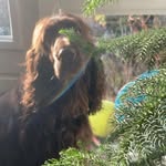 @storm.fieldspaniel - Instagram