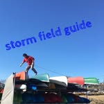 storm_field_guide 𓊝カヤック/サップ/ラフティング/バレルサウナ【常陸大宮市/常陸太田市/高萩市/いわき市】 - @storm_field_guide - Instagram