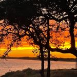 Storm Simpson - @smallerhousebiggerhome - Instagram