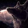 Storm walker - @stormwalker1 - TikTok