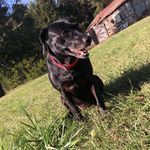 Stormie Brown - @brown_stormie - Instagram