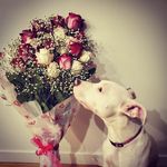 Stormie Day Brown - @stormiedaybrown - Instagram