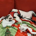 Stormie Noel  Brown - @stormie.adventures - Instagram