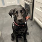 Stormy Edwards - @stormyedwards8 - Instagram