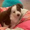 hdmxnchdhdhjddhh - @stormy._.evans - TikTok