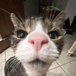 just lee - @stormy_leeee - Instagram