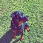 Storm purcell - @purcellstorm - Instagram