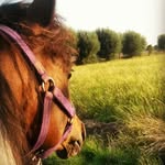 Farah - @stormy_rose_misla - Instagram