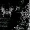 •★𝔖𝔱𝔬𝔯𝔪𝔶ℜ𝔬𝔰𝔢★• - @lt.stormy11 - TikTok