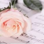 Stormy Rose - @wattpad.independent_rose - Instagram