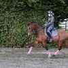 Stormyrose111 - @stormyrose111 - TikTok