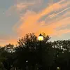 AmyStrawberryJackson - @amystrawberryjackson - TikTok
