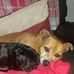 Stu Lawton - Facebook