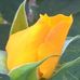 Stu Smith - Facebook